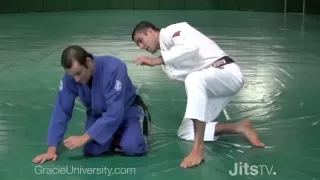 Ryron and Rener Gracie: Special Techniques and BJJ History