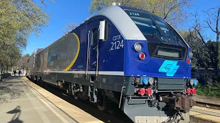 Amtrak Trains In Davis!