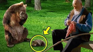 Crying mother bear brings dying cub to this man, then something incredible happened