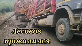 Лесовоз провалился в тайге.