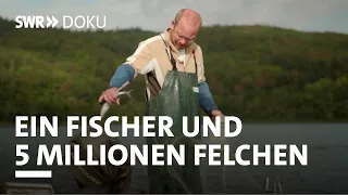 Umzug mit Fischen - Ein Fischer und 5 Millionen Felchen | SWR Doku