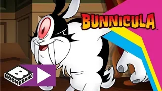 Bunnicula | Omega Juice | Boomerang