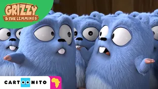 Grizzy and the Lemmings | Non Stop Lemmings | Cartoonito Africa