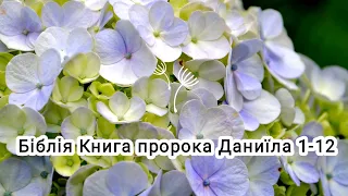 Аудіо Біблія українською мовою ❤️ Книга пророка Даниїла 1-12🌷#біблія