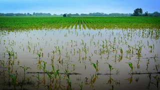 Iowa's Wild Weather: Flooding