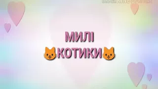 Наймиліші котик укр мовою КОТЕЙКА TV