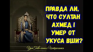 Правда ли, что Султан Ахмед I умер от укуса вши? (Интриганка)