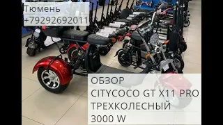CITYCOCO GT Х11 PRO ТРЕХКОЛЕСНЫЙ 3000 W
