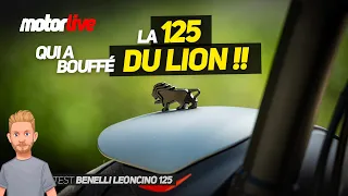 La 125 qui a bouffé du Lion ! - BENELLI LEONCINO 125 - MOTORLIVE