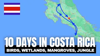 Best Bird Watching Spots In Costa Rica In 10 Days