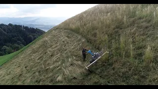 Ökoheu mähen in Hanglage mit Brielmaier