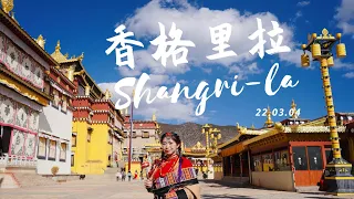 在云南香格里拉的第一天｜Day One in Shangri-La, YunNan Province, China.