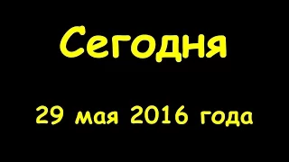 Какой сегодня праздник 29 мая 2016