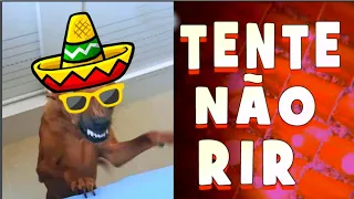 Tente não rir  - NÍVEL Hard - SE rir reinicie  😉 Vídeo muito engraçado 2020