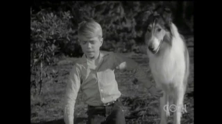 Lassie - Episode #283 - "Lassie and the Eagle" - Season 8, Ep. 28 - 3/25/1962