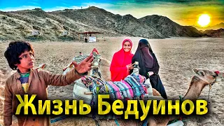 КАК ЖИВУТ БЕДУИНЫ. САФАРИ ПО ПУСТЫНЕ