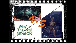 Can i beat midir with 0 hit taken?| True Dragon Form