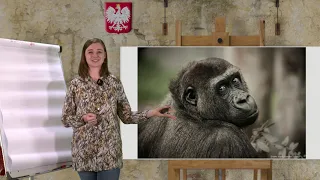 Biologia - SP. Ewolucja i jej dowody