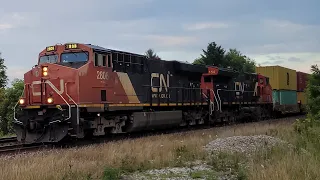 CN 123 - 2808 & 3154 In Lynden Ontario