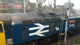 (BR 37402 & 37424 & 37401) Hauling DRS Carriages On Wensum Curve Norwich
