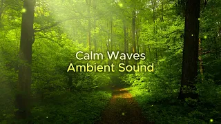 Calm Waves - Relaxation #calmingmusic #sleepmusic #relaxing