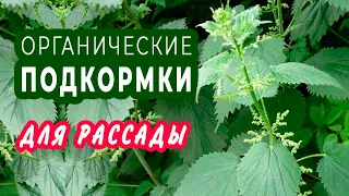 ОРГАНИЧЕСКИЕ УДОБРЕНИЯ для рассады. Как приготовить?