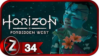 Horizon Forbidden West/Запретный Запад ➤ Подъём солдата ➤ Прохождение #34