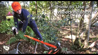 How to Use a Weed Wrench