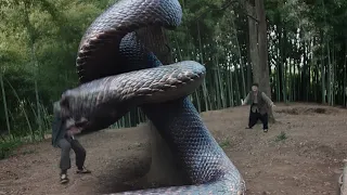 The snake catcher laid traps to catch the giant snake, and the snake was rolled into twists!