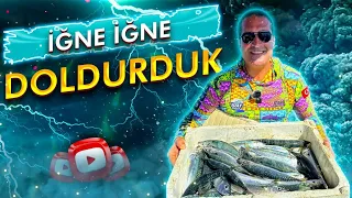 İğne İğne Doldurduk,  Dev Balık Dayanamadı Taze Yeme