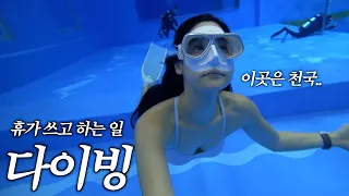 프리다이빙 & 온앤오프 일상 브이로그 | 파라다이브 방문기