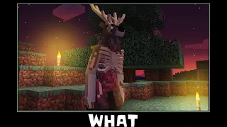 Minecraft wait what | Minecraft memes | Part 52| Deer