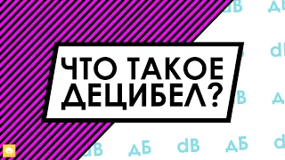 ЧТО ТАКОЕ ДЕЦИБЕЛ за 3 минуты | Инфографика