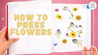 How to Press Flowers | The BEST Method for Drying Pressed Flowers!