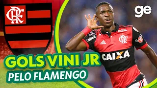 TODOS OS GOLS VINICIUS JUNIOR PELO FLAMENGO | Listas | ge.globo