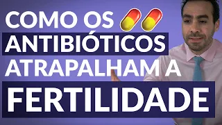 COMO OS ANTIBIÓTICOS 💊 ATRAPALHAM A FERTILIDADE | DR. JULIO VOGET