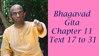 Bhakti Shastri (111) - Bhagavad Gita Chapter 11 Text 17 to 31