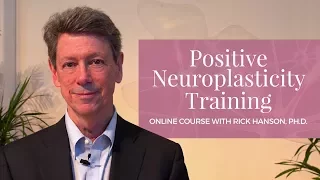 Positive Neuroplasticity Training with Rick Hanson, Ph.D.