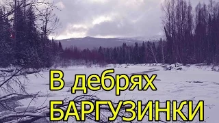 В дебрях Баргузинки (укв) /In the wilds of the Barguzinka River