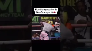 Floyd mayweather beats the 💩 out of Blue Face 🤣