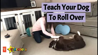 SuperDogs | Teach Your Dog To Roll Over | Dog Training