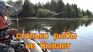 Там много поклевок бывает редко . Вечерний выход щуки. Принцип поймал - отпусти в действии.