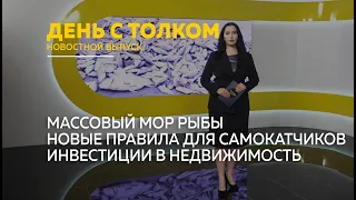 "День с Толком". 19.04.2024