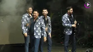 Banda MS