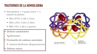 Anemia 4: Anemia hemolítica