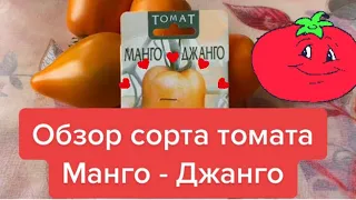 Обзор сорта томата Манго - Джанго.  Очень вкусный сорт! #томаты #сортатоматов #помидоры