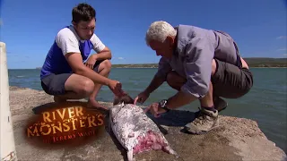 What Happens When A Bull Shark Attacks | SHARK | River Monsters
