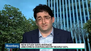 Stanford's Strebulaev Says Unicorns Are Overvalued