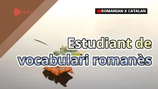 Estudiant de vocabulari romanès | Golearn