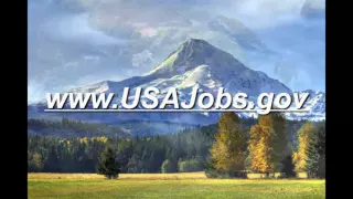 Temporary Hiring with the U S  Forest Service